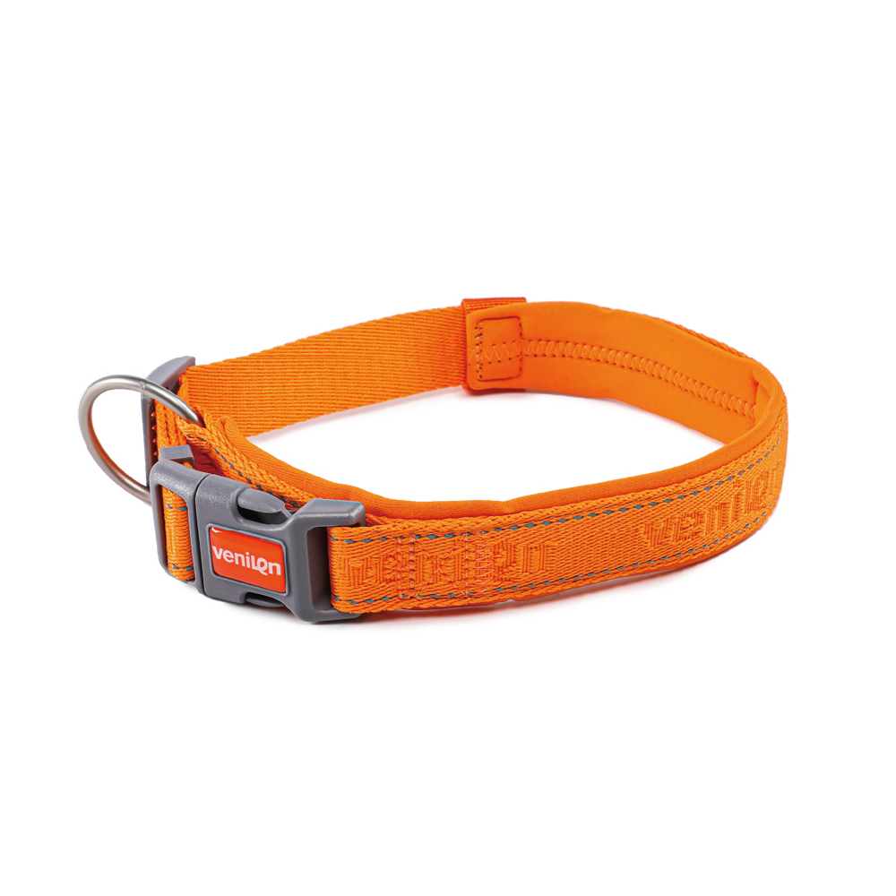 Harness for Dogs